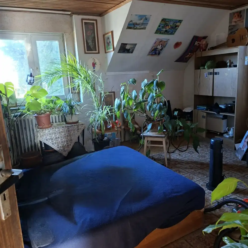 Fejér megye - Bicske