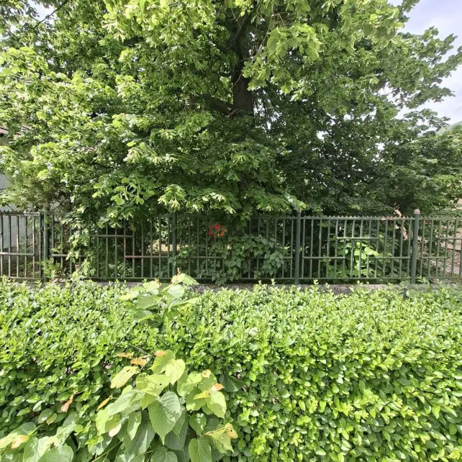 eladó  Építési telek, Bicske
