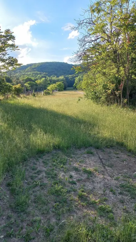 Eladó mezőgazdasági ingatlan, Csákvár 4487 m² 11.5 M Ft