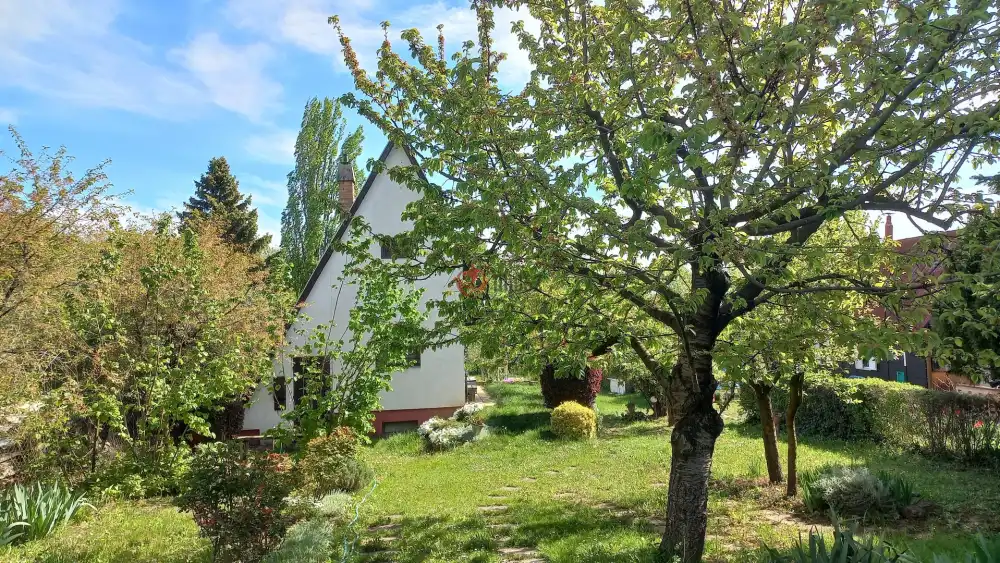 Fejér megye - Alcsútdoboz