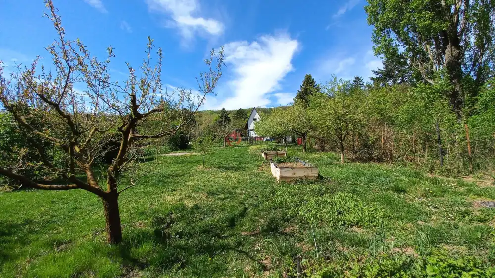 Fejér megye - Alcsútdoboz