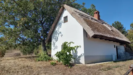Eladó pince, Csákvár 25 m² 21 M Ft
