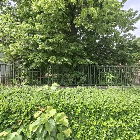 Eladó telek, Bicske 1077 m² 18 M Ft
