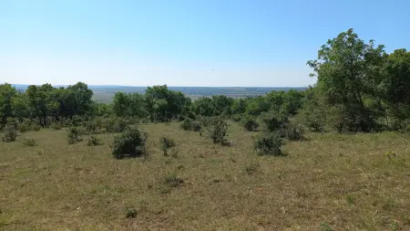 Eladó telek, Zámoly 92034 m² 28.5 M Ft